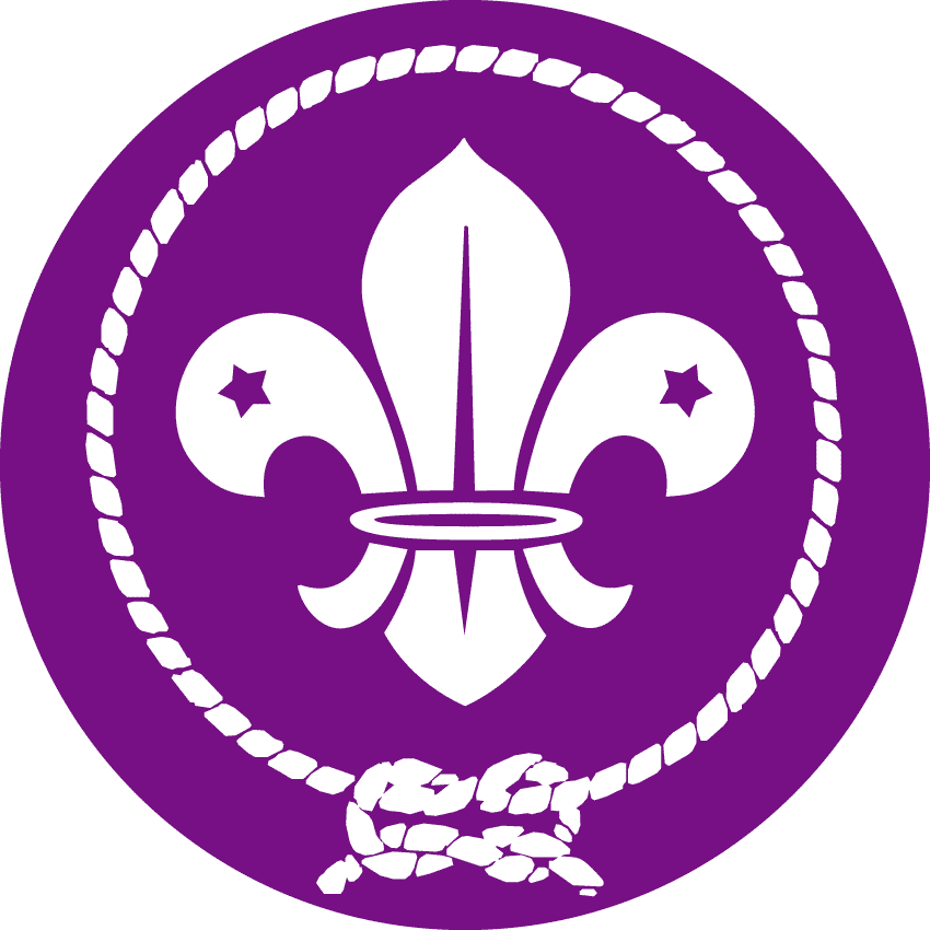scout-international